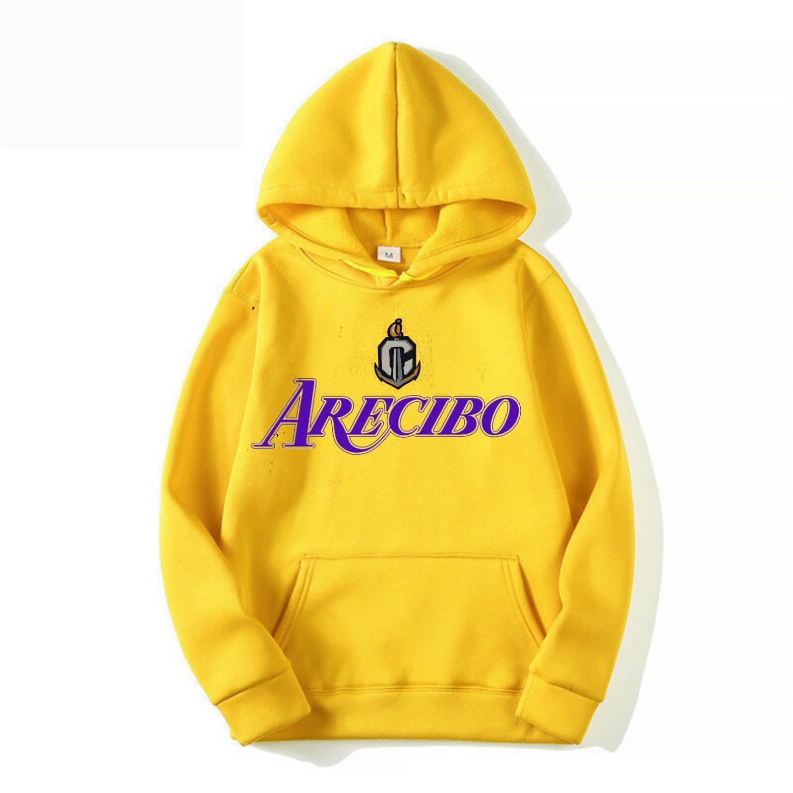 Hoodie Arecibo 2005