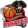 Pirateslogoteam.png